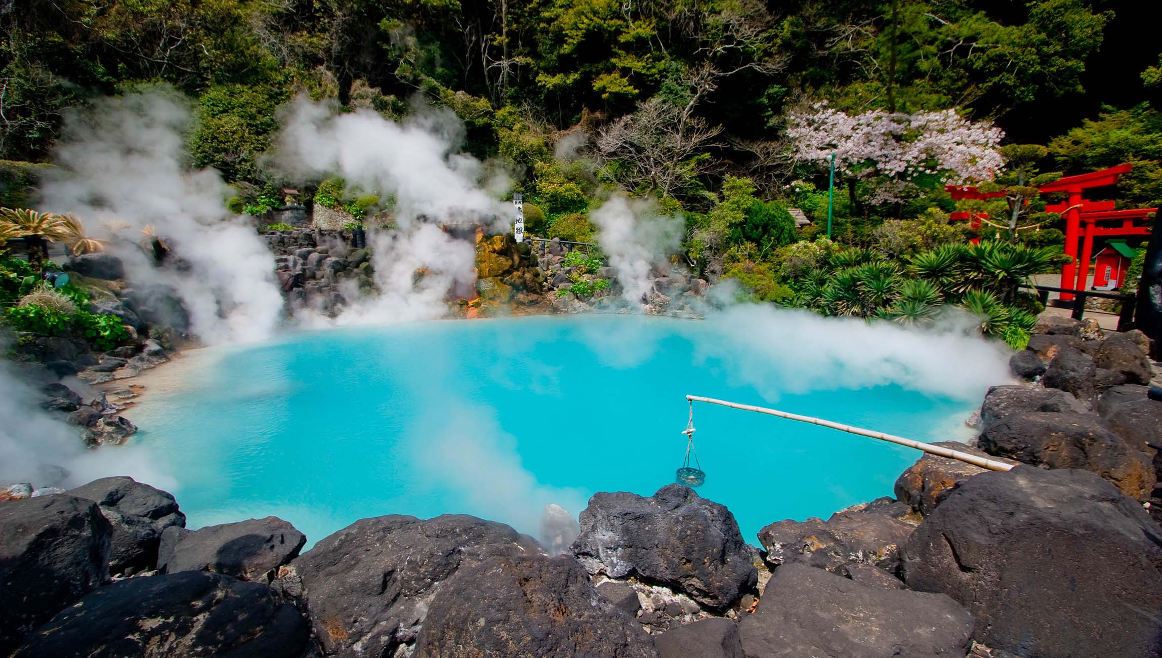 南国の美景を巡るショートクルーズ B