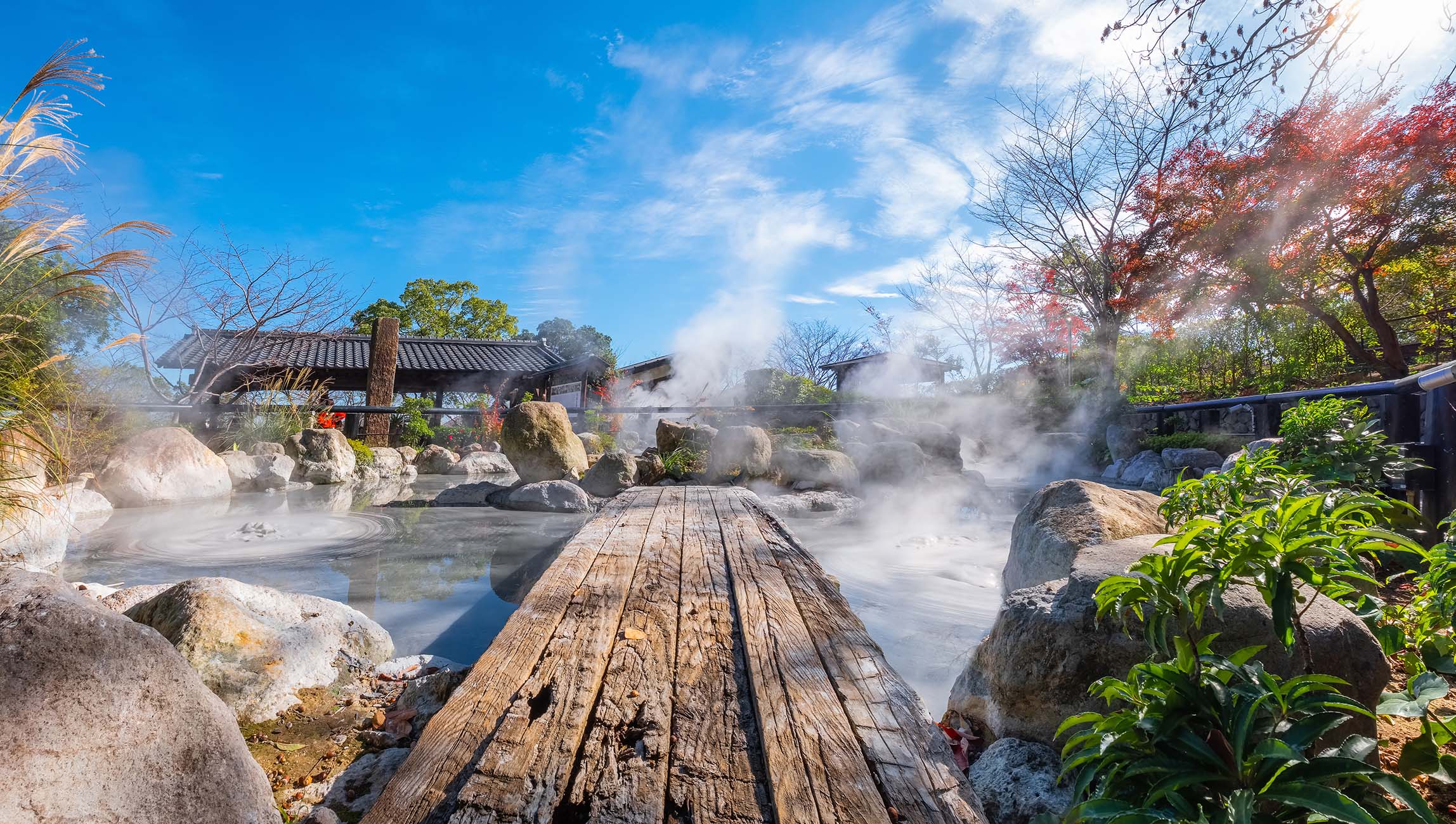 美食と名湯、南九州・四国クルーズ