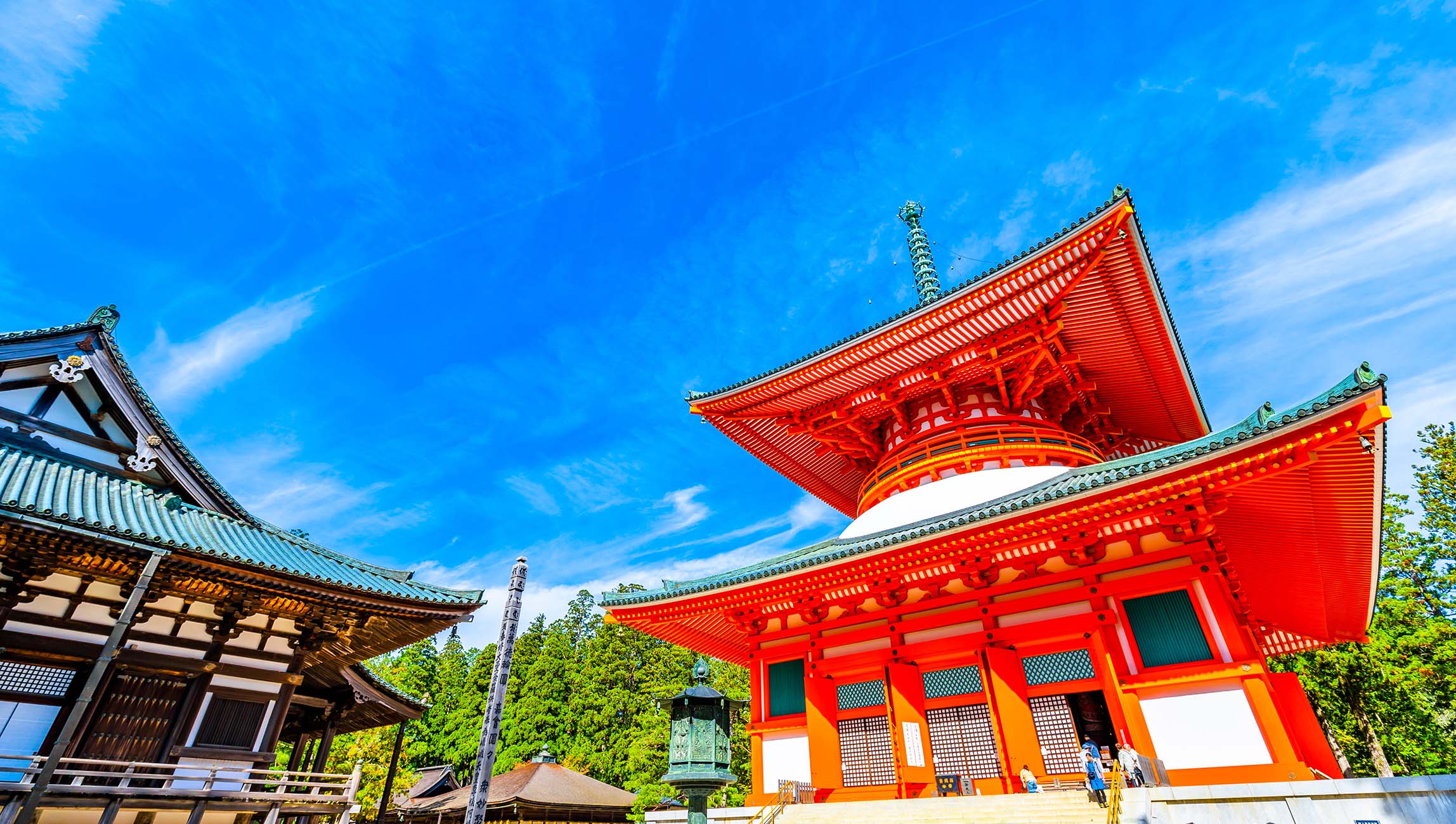 Wonders of the Southern Breeze