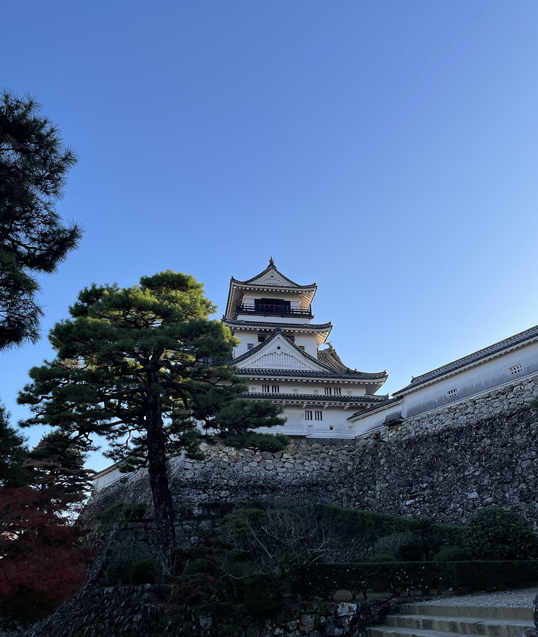 Kochi Castle
