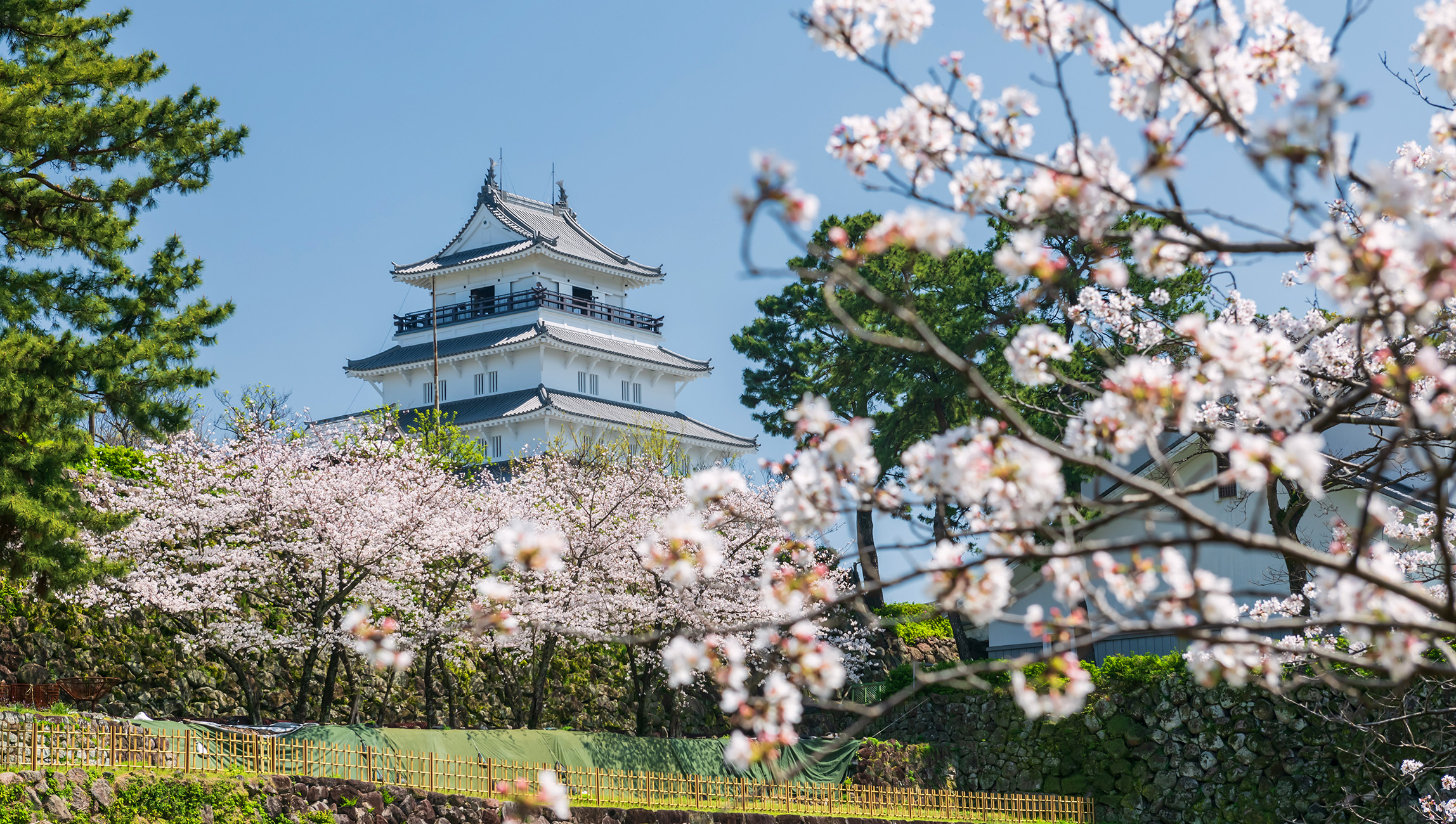 Exotic Southern Kyushu